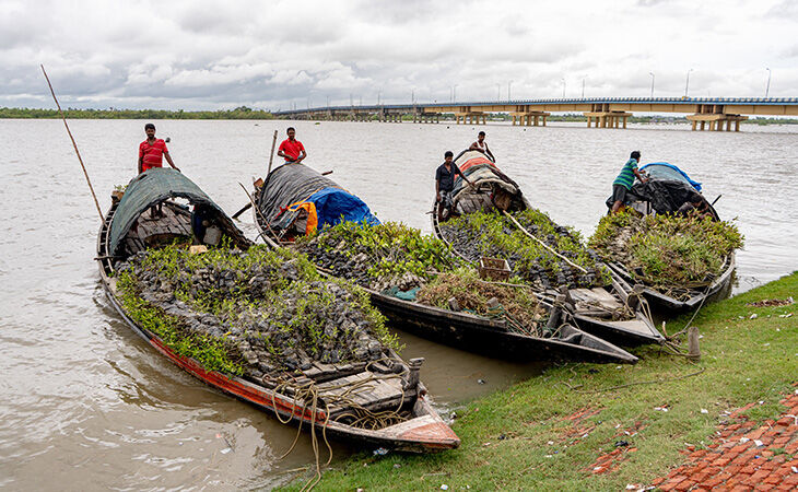 Meet the Indian communities that our tree-growing pledge is transforming